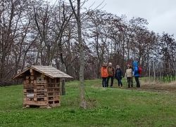 20222_Eisenbahnweg_12