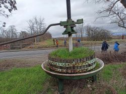 20222_Eisenbahnweg_14