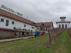 20222_Eisenbahnweg_19