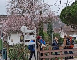 20222_Eisenbahnweg_24