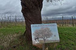 20222_Eisenbahnweg_26