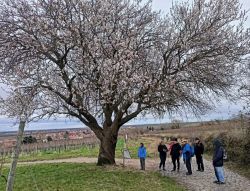 20222_Eisenbahnweg_28