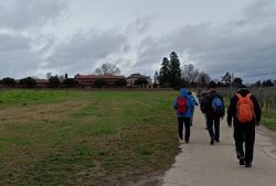 20222_Eisenbahnweg_31