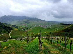 IMG-20220424-WA0001a