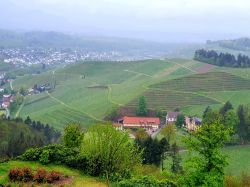 IMG-20220424-WA0014a