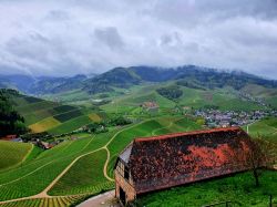 IMG-20220424-WA0015a