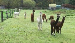 161022_Teufelstisch_PWV_20