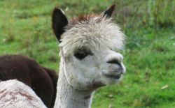 161022_Teufelstisch_PWV_27