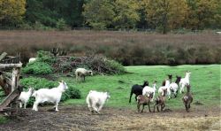 161022_Teufelstisch_PWV_30