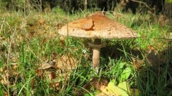 161022_Teufelstisch_PWV_38