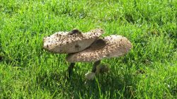 161022_Teufelstisch_PWV_44