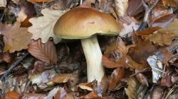 161022_Teufelstisch_PWV_47