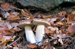 161022_Teufelstisch_PWV_48