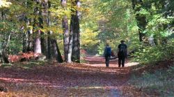 161022_Teufelstisch_PWV_63