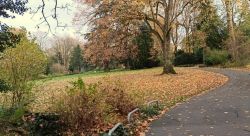 Weinheim_25.11.23_Altstadt_3