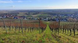 16.12.2023_Pleisweiler_19