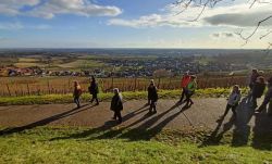 16.12.2023_Pleisweiler_31