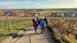 16.12.2023_Pleisweiler_32