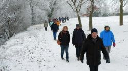 C_Fußgönheim_21.1.24-3