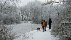 D_Fußgönheim_21.1.24-4