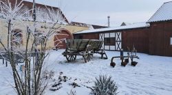 E_Fußgönheim_21.1.24-5