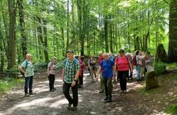 Kaiserslautern_23.06.2024_f