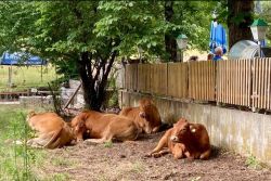 Kaiserslautern_23.06.2024_i