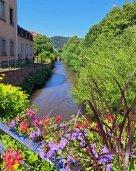 Elsaß_a011_20.07.2024