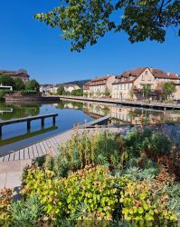 Elsaß_a012_20.07.2024