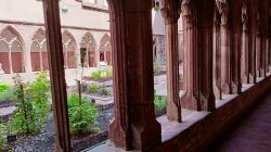 Elsaß_c01_20.7.24_Saverne_Elsaß_32