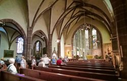 Elsaß_f01_20.7.24_Saverne_Elsaß_43