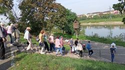 c1_22.9._Schiff_MA_10