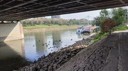 d1_22.9._Schiff_MA_12