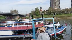 e1_22.9._Schiff_MA_13