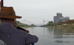 r1_22.9._Schiff_MA_53