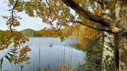 e1_13.10.24_Fischbach_23