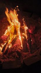 o1_2.11.24_Nachtwanderung_Eich_75