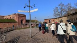 g1_19.1.25_PWV_Germ_1_20