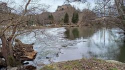 j1_22.2.25_Bad_Kreuznach_50