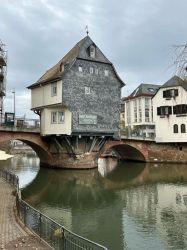 l1_22.2.25_Bad_Kreuznach