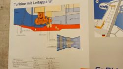 d1_PWV_26.4.25_Iffezheim-Favorite_26