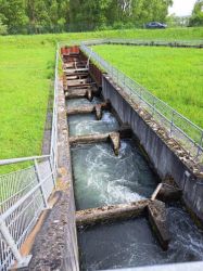 k_20250426_115532_resized