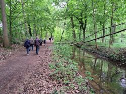 p_20250426_125212_resized