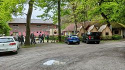 q_PWV_26.4.25_Iffezheim-Favorite_33