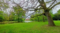 w_Schloßpark_Favorite_Rastadt_26.4_1