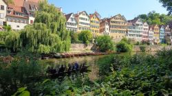 c1_PWV_19-22.6.25_Waldachtal_93