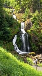 d5_PWV_19-22.6.25_Waldachtal_251