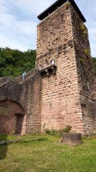 h1_Neckarsteinach_20.7.25_20