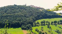 n1_Neckarsteinach_20.7.25_36