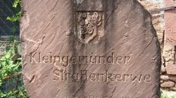 p1_Neckarsteinach_20.7.25_46